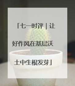 七一时评｜让好作风在基层沃土中生根发芽